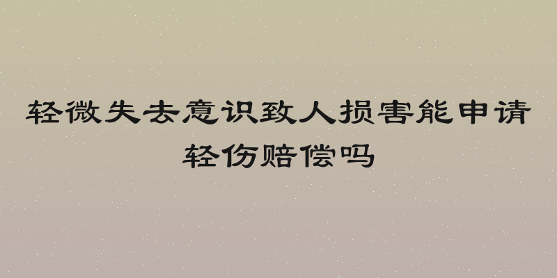 轻微失去意识致人损害能申请轻伤赔偿吗