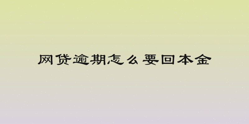 网贷逾期怎么要回本金