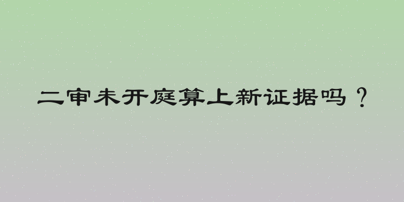 二审未开庭算上新证据吗？