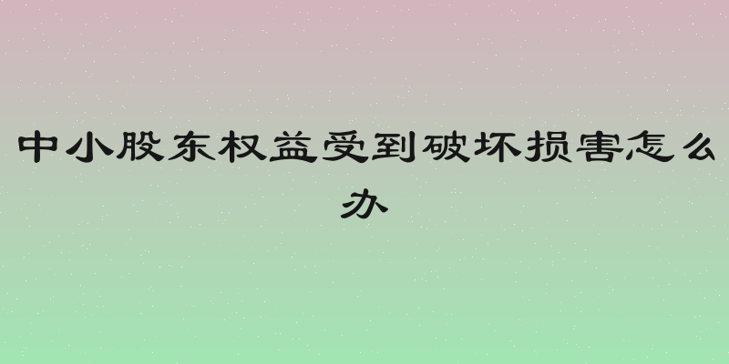 中小股东权益受到破坏损害怎么办