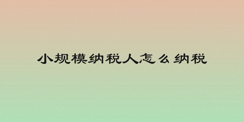 小规模纳税人怎么纳税