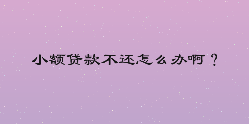 小额贷款不还怎么办啊？