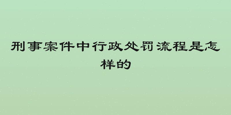刑事案件中行政处罚流程是怎样的