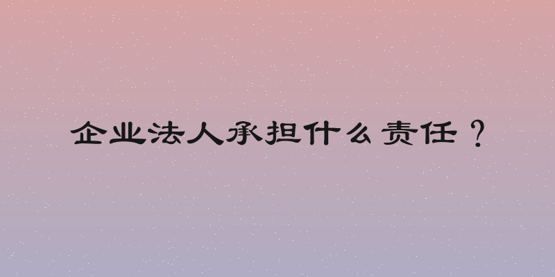 企业法人承担什么责任？