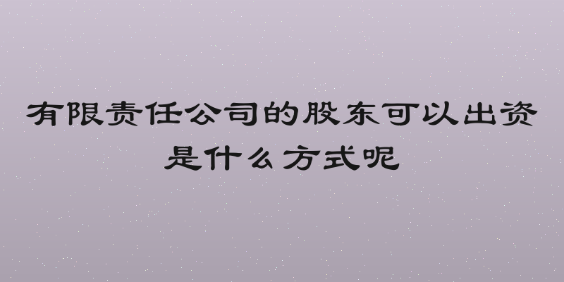 有限责任公司的股东可以出资是什么方式呢
