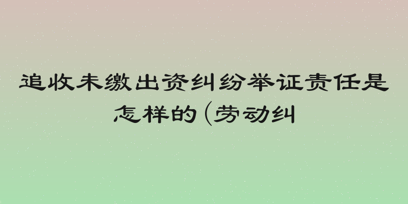 追收未缴出资纠纷举证责任是怎样的(劳动纠