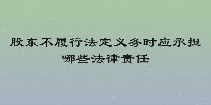 股东不履行法定义务时应承担哪些法律责任