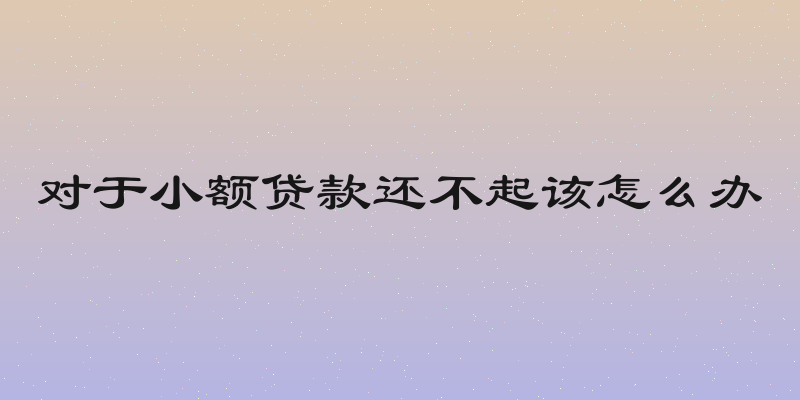 对于小额贷款还不起该怎么办
