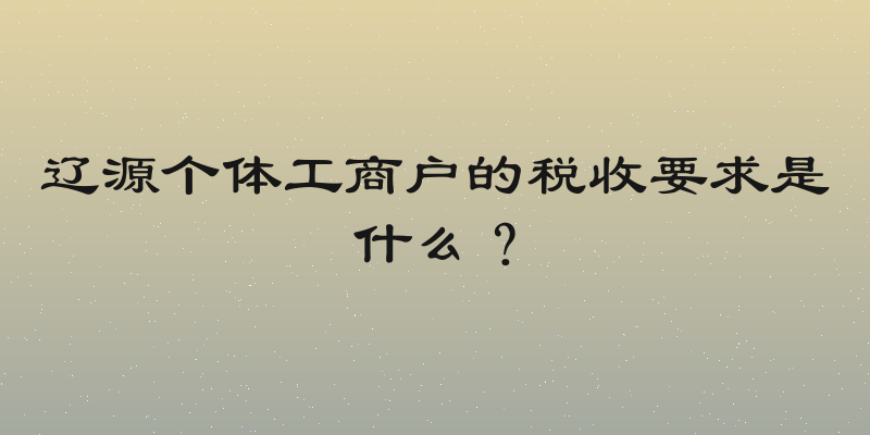 辽源个体工商户的税收要求是什么？