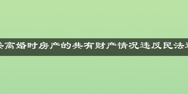 有关离婚时房产的共有财产情况违反民法通则