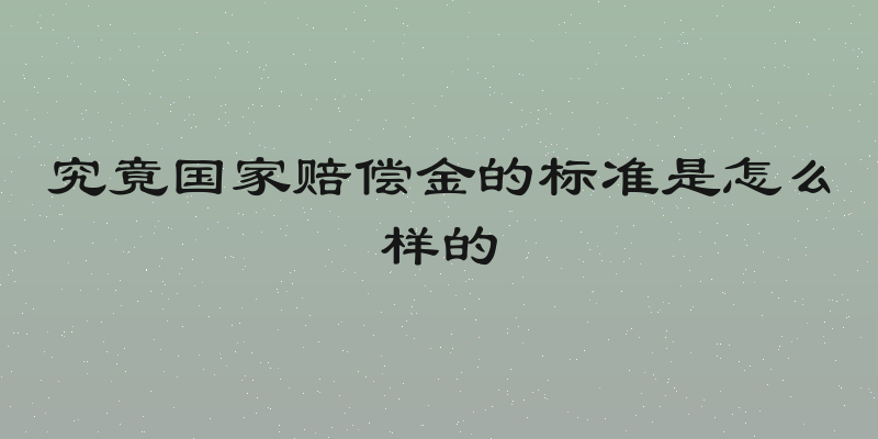 究竟国家赔偿金的标准是怎么样的