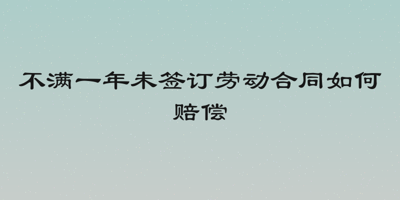 不满一年未签订劳动合同如何赔偿