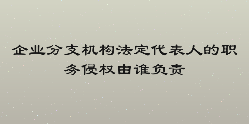 企业分支机构法定代表人的职务侵权由谁负责