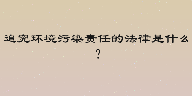追究环境污染责任的法律是什么？