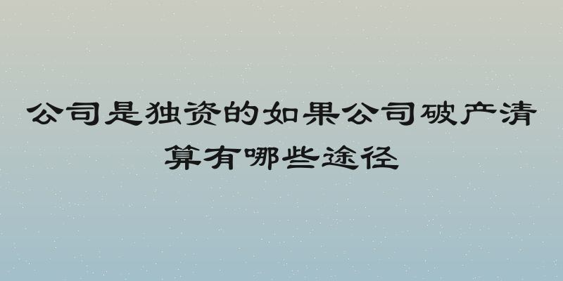 公司是独资的如果公司破产清算有哪些途径