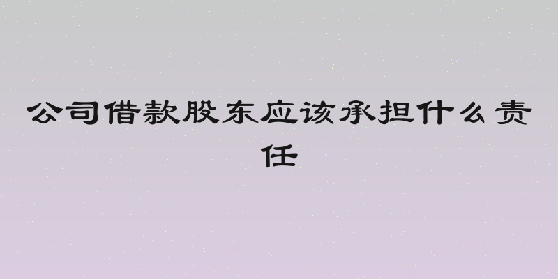 公司借款股东应该承担什么责任