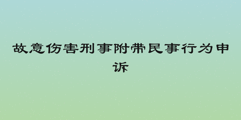 故意伤害刑事附带民事行为申诉