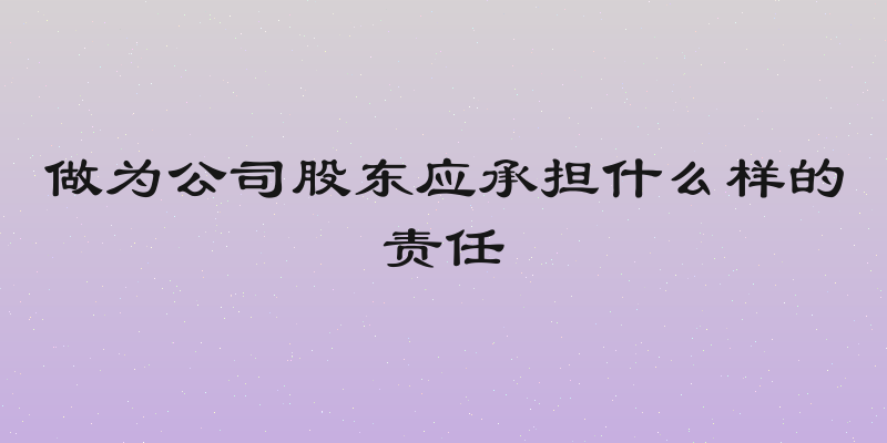 做为公司股东应承担什么样的责任