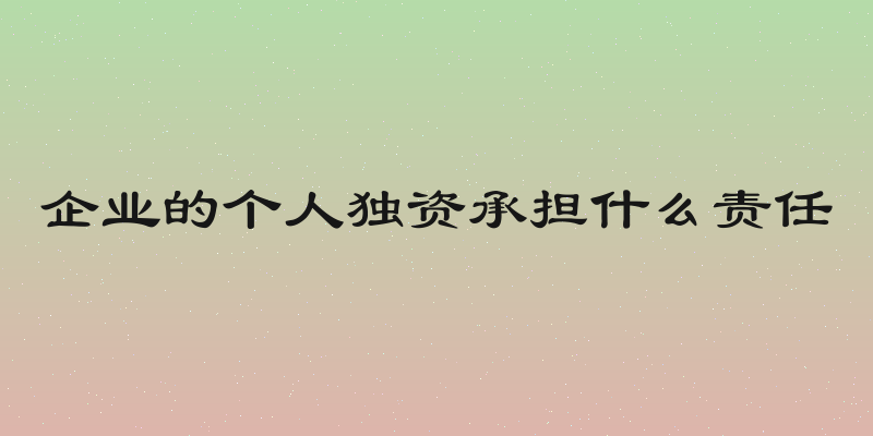 企业的个人独资承担什么责任