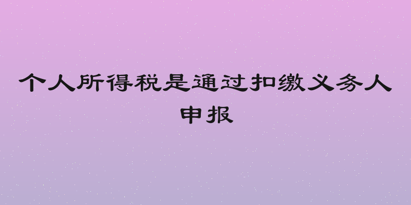 个人所得税是通过扣缴义务人申报