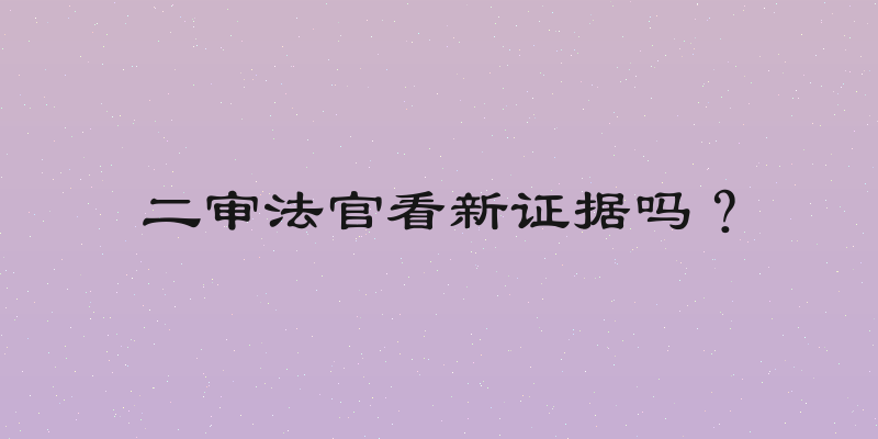 二审法官看新证据吗？