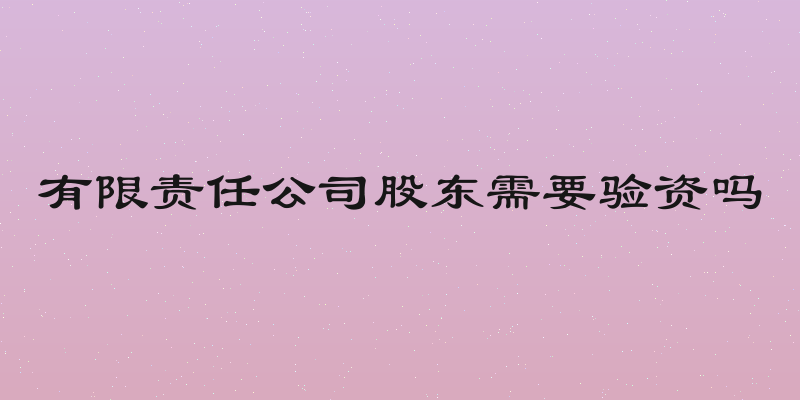 有限责任公司股东需要验资吗