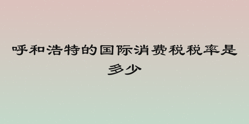 呼和浩特的国际消费税税率是多少