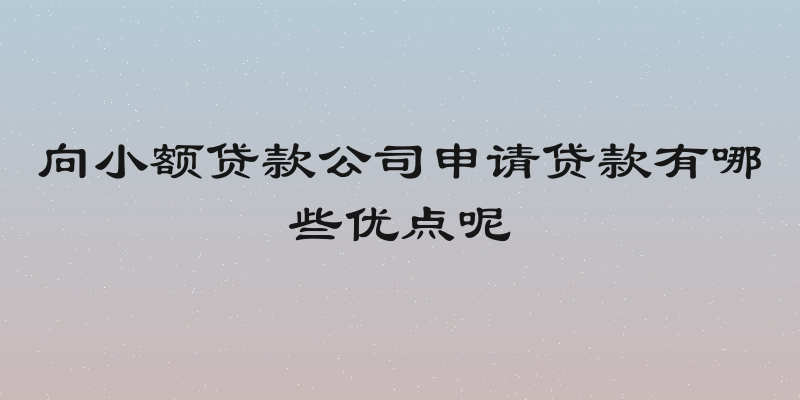 向小额贷款公司申请贷款有哪些优点呢