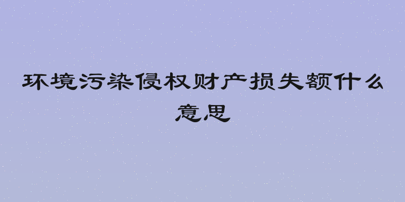 环境污染侵权财产损失额什么意思