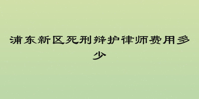 浦东新区死刑辩护律师费用多少