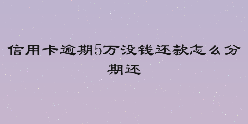 信用卡逾期5万没钱还款怎么分期还