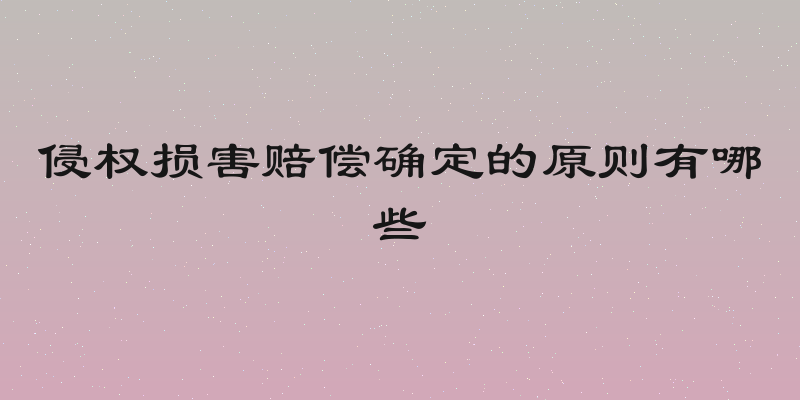 侵权损害赔偿确定的原则有哪些