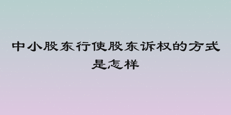 中小股东行使股东诉权的方式是怎样