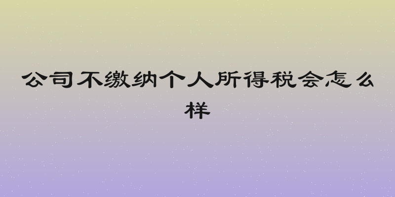 公司不缴纳个人所得税会怎么样