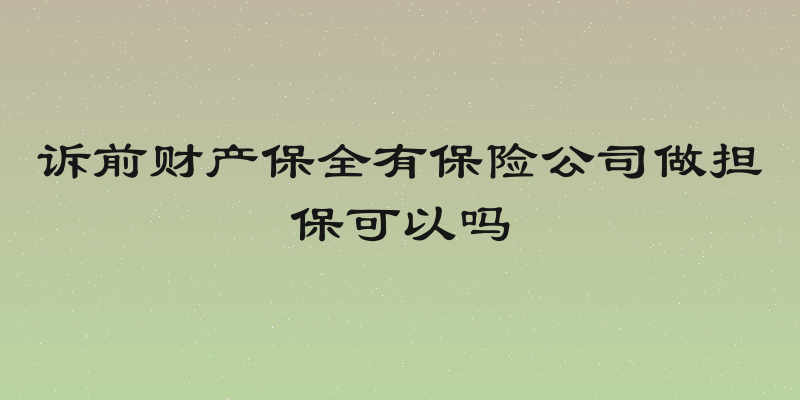 诉前财产保全有保险公司做担保可以吗