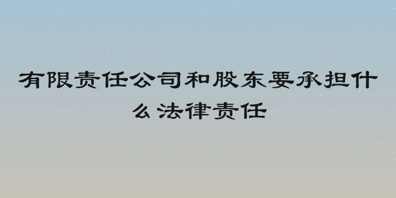 有限责任公司和股东要承担什么法律责任