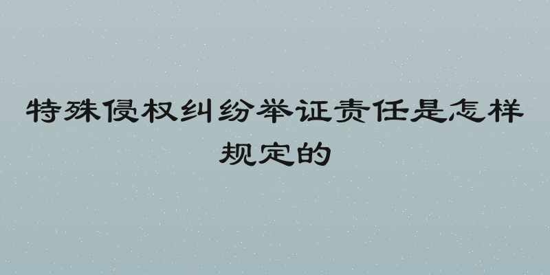 特殊侵权纠纷举证责任是怎样规定的