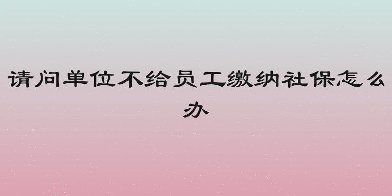 请问单位不给员工缴纳社保怎么办
