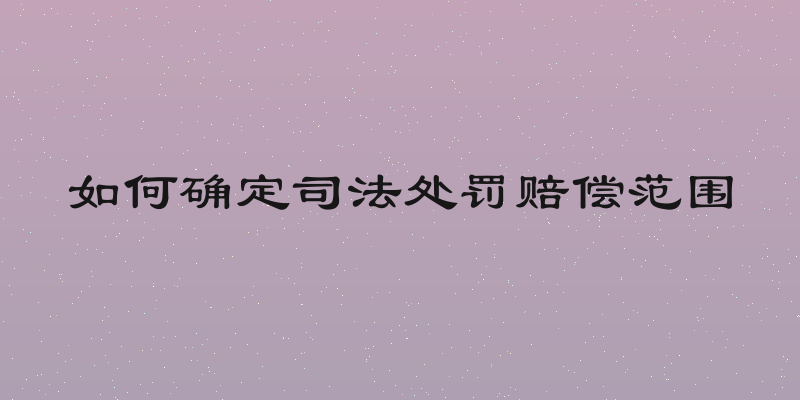 如何确定司法处罚赔偿范围