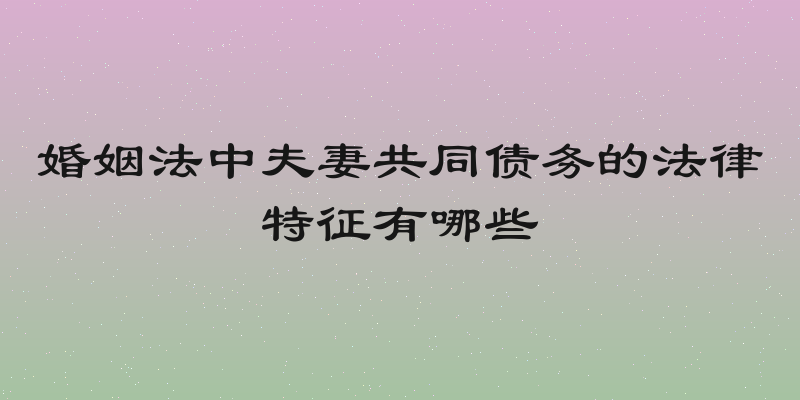 婚姻法中夫妻共同债务的法律特征有哪些