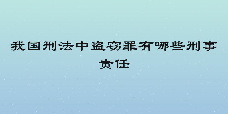 我国刑法中盗窃罪有哪些刑事责任