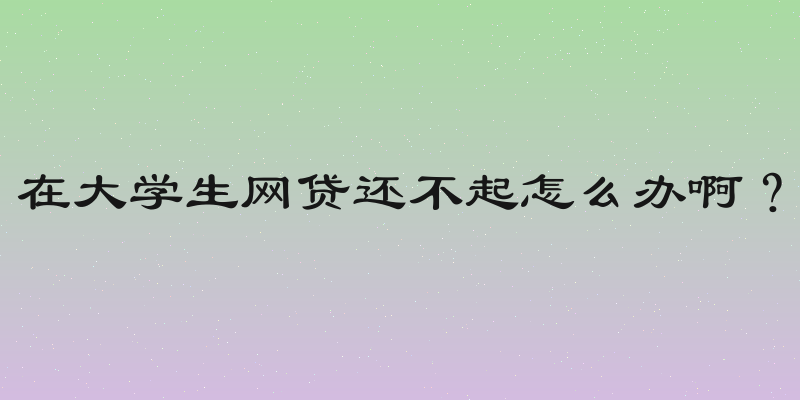在大学生网贷还不起怎么办啊？