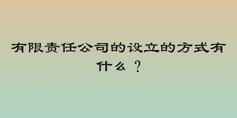 有限责任公司的设立的方式有什么？