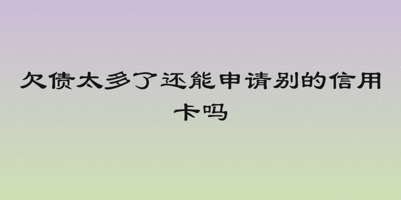 欠债太多了还能申请别的信用卡吗