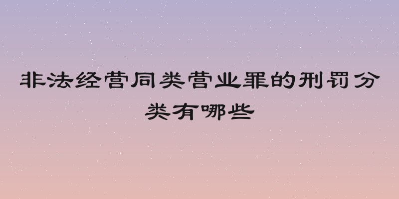 非法经营同类营业罪的刑罚分类有哪些