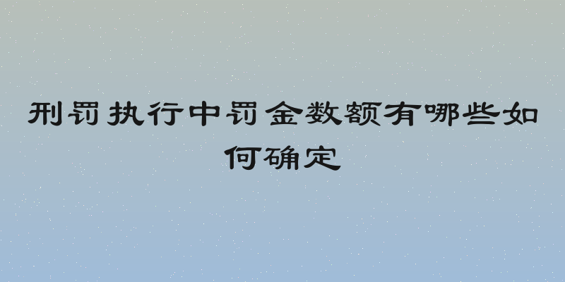 刑罚执行中罚金数额有哪些如何确定