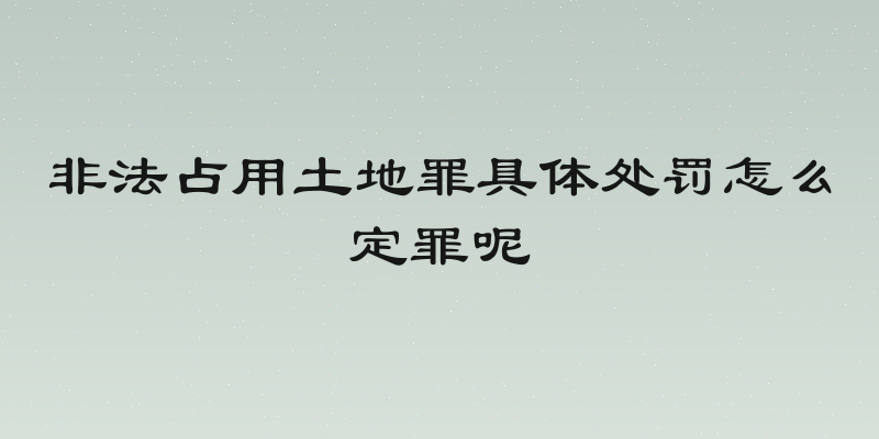 非法占用土地罪具体处罚怎么定罪呢