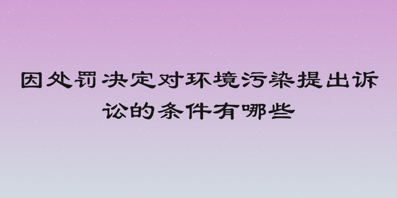 因处罚决定对环境污染提出诉讼的条件有哪些