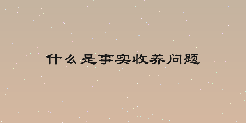 什么是事实收养问题