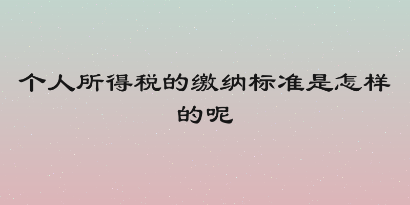 个人所得税的缴纳标准是怎样的呢